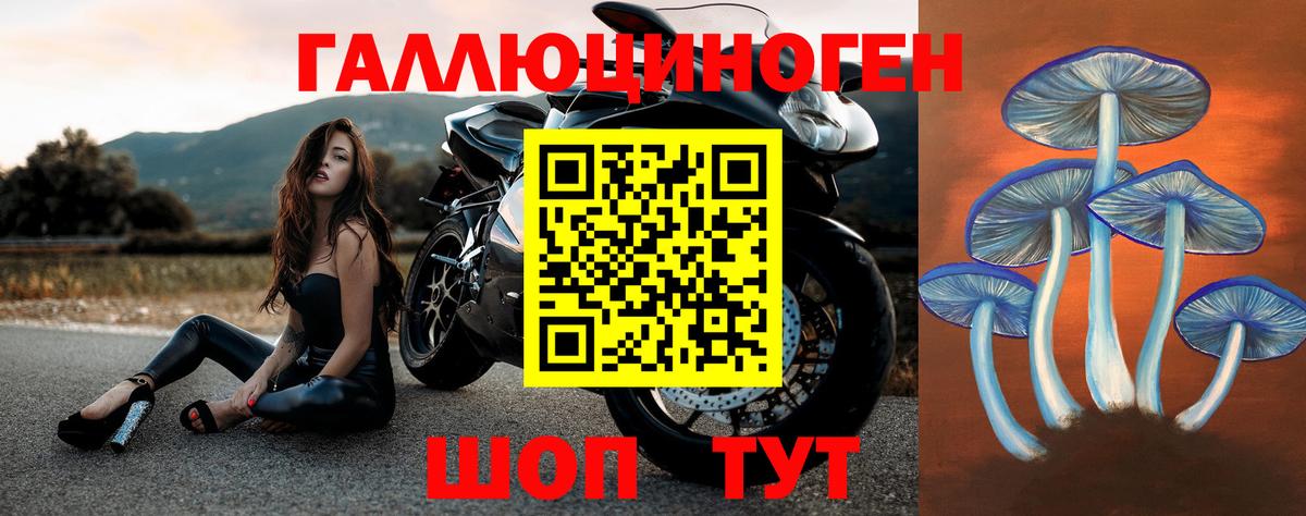 Галлюциногенные грибы GOLDEN TEACHER  Псилоцибиновые грибы ЛСД  Хабаровск  Вход с VPN 