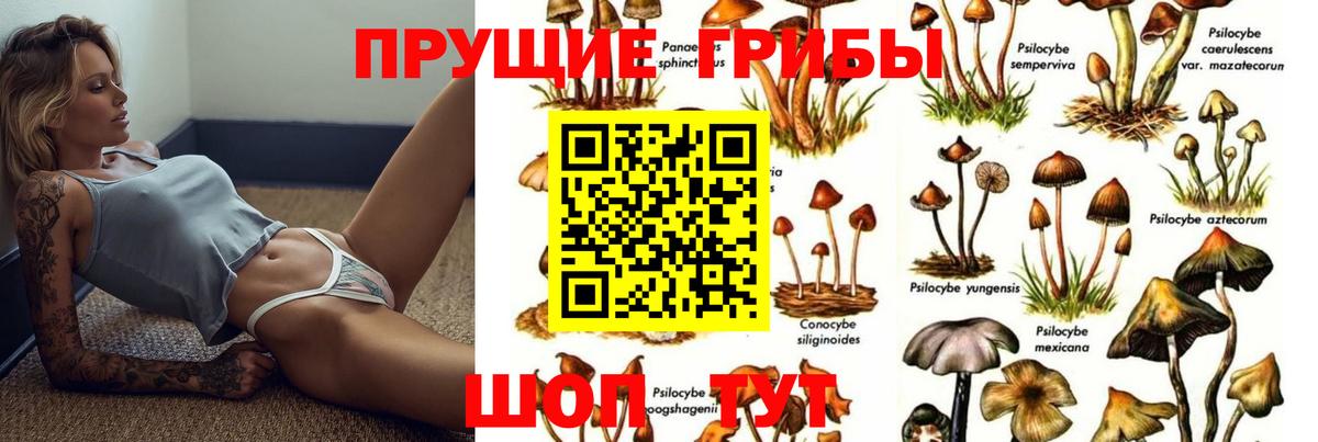 Галлюциногенные грибы Cubensis Хабаровск